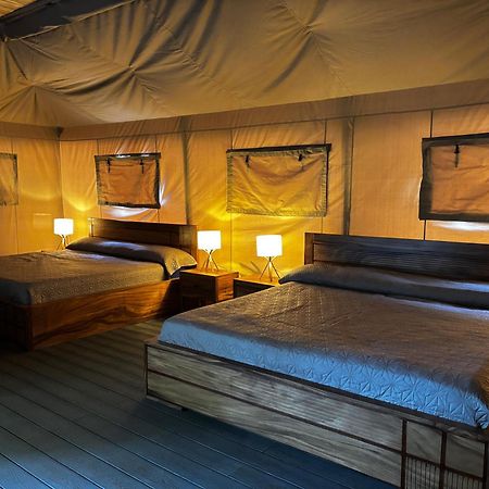 Arenal Backpackers Resort La Fortuna Esterno foto
