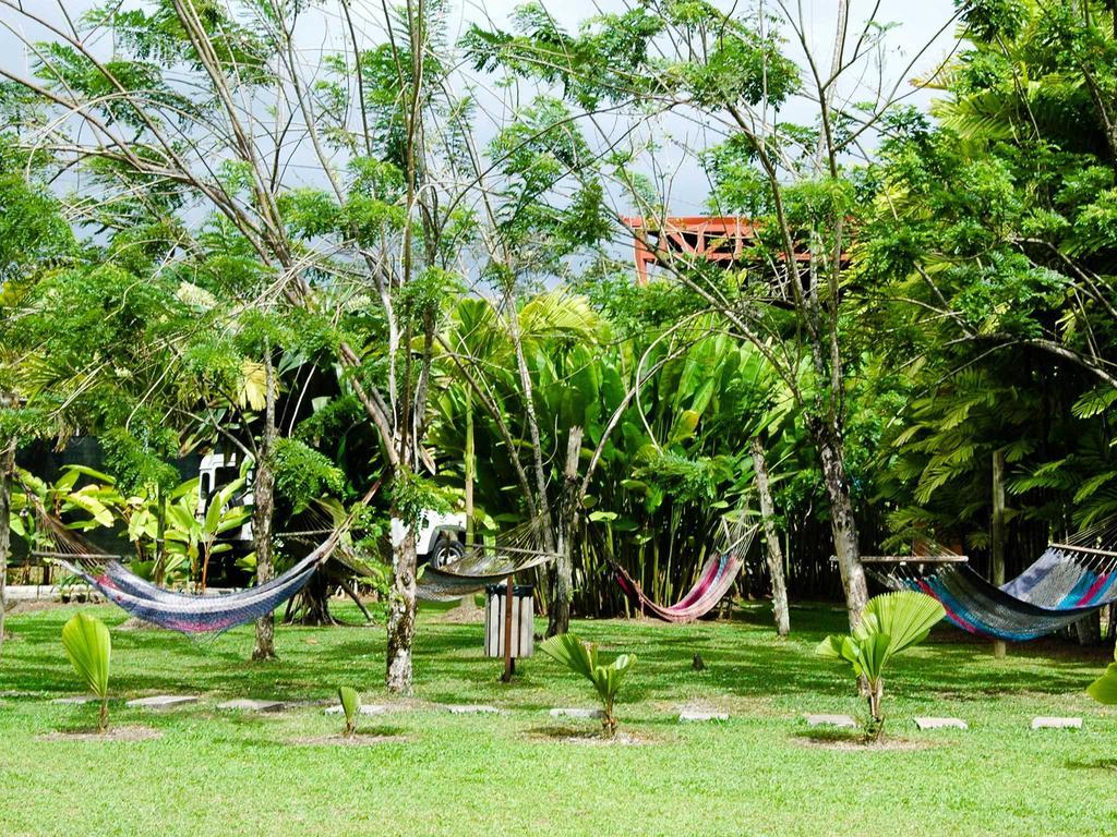Arenal Backpackers Resort La Fortuna Esterno foto Hammocks in the garden of a hostel in Central America