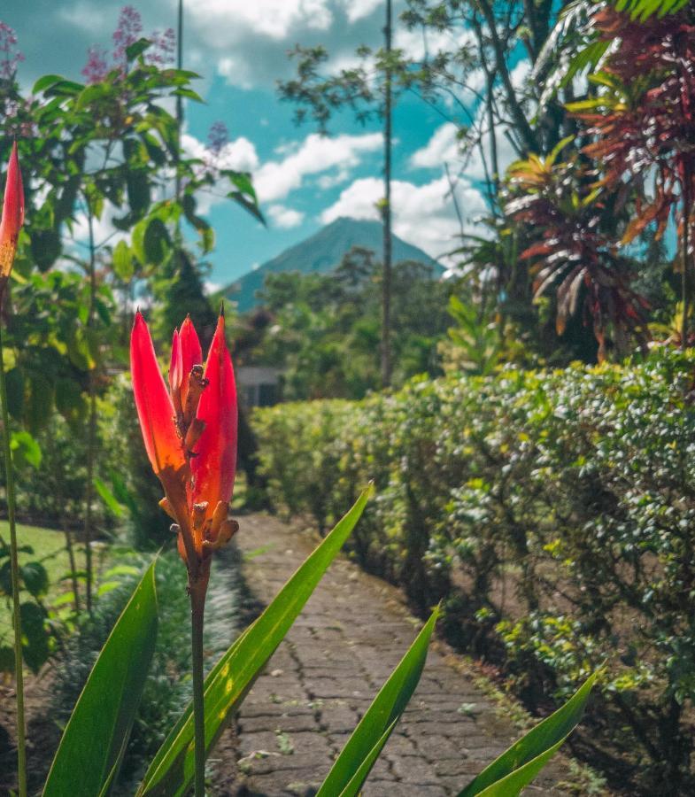 Arenal Backpackers Resort La Fortuna Esterno foto A view of Mount Apo