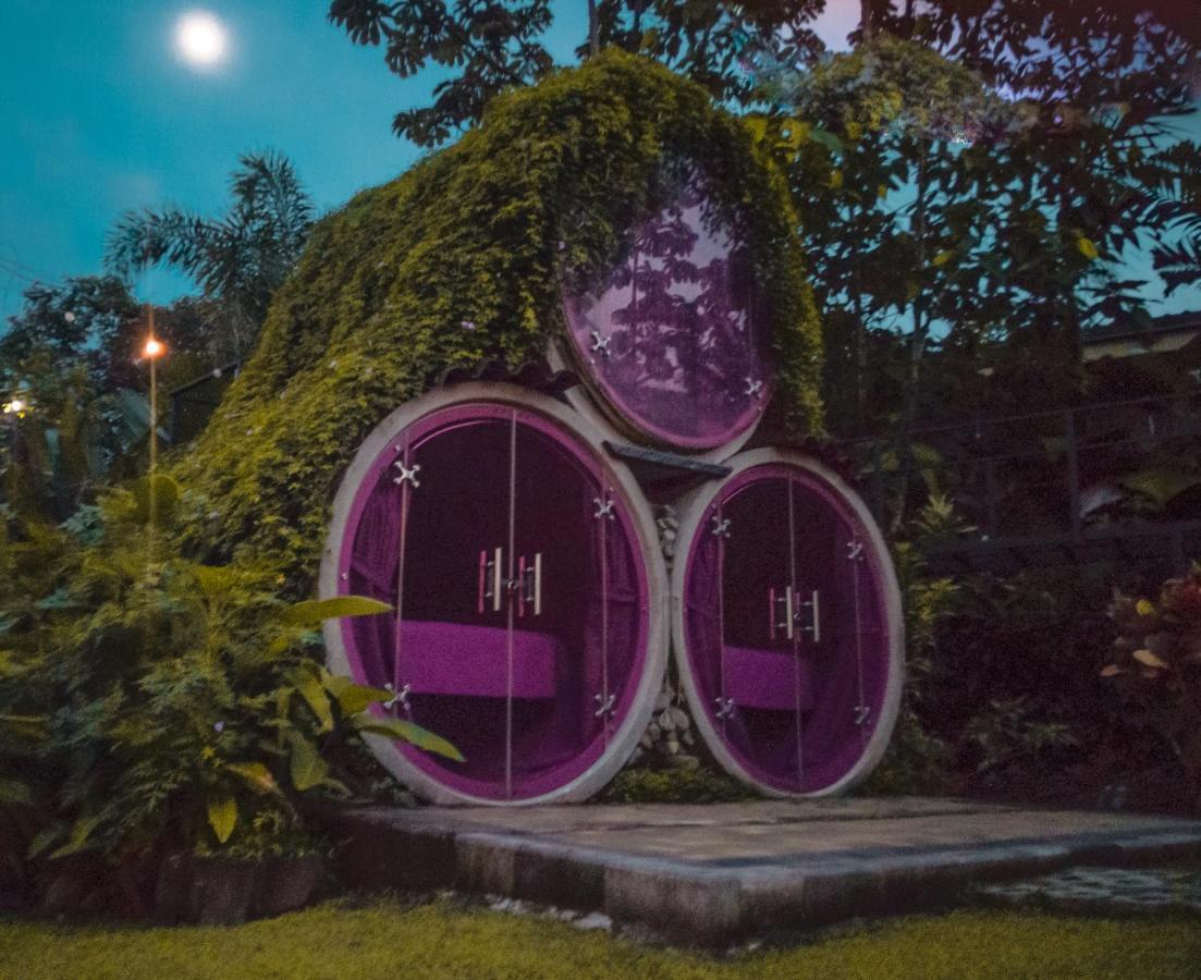 Arenal Backpackers Resort La Fortuna Esterno foto The Hobbit Hole