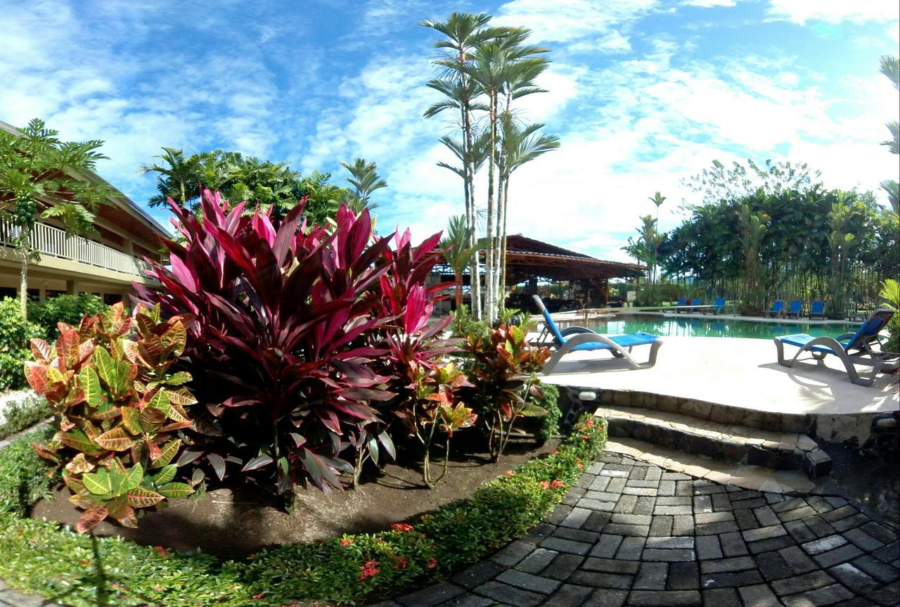 Arenal Backpackers Resort La Fortuna Esterno foto The pool at the resort