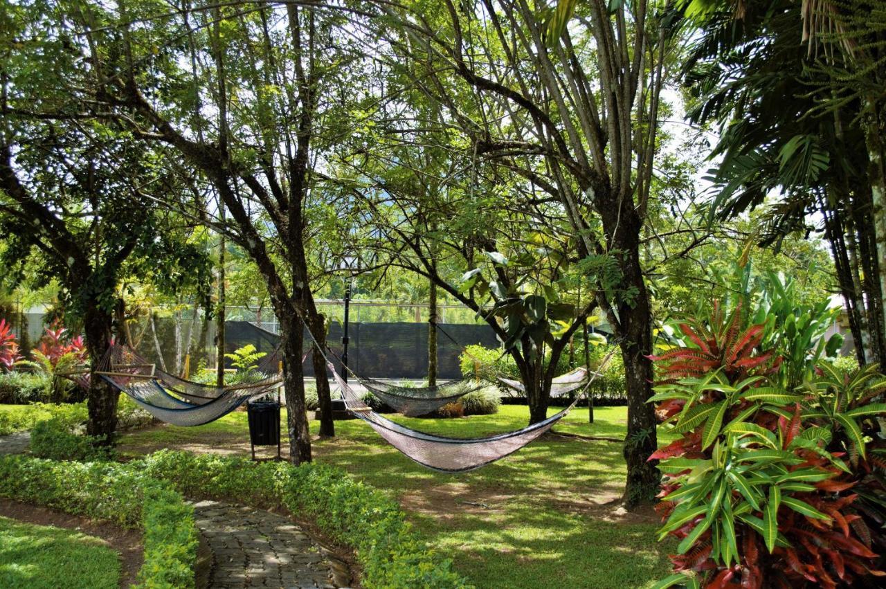 Arenal Backpackers Resort La Fortuna Esterno foto Hammocks at the University of Hawaii at Hilo